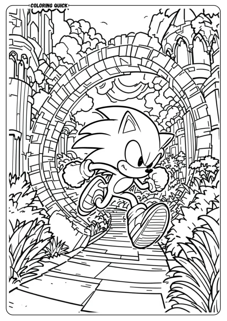 Sonic Running Through Loop